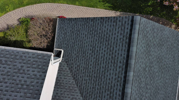 Best Roof Restoration  in USA